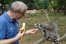 Im Tierpark meiner Heimatstadt Nyíregyháza, in Ungarn